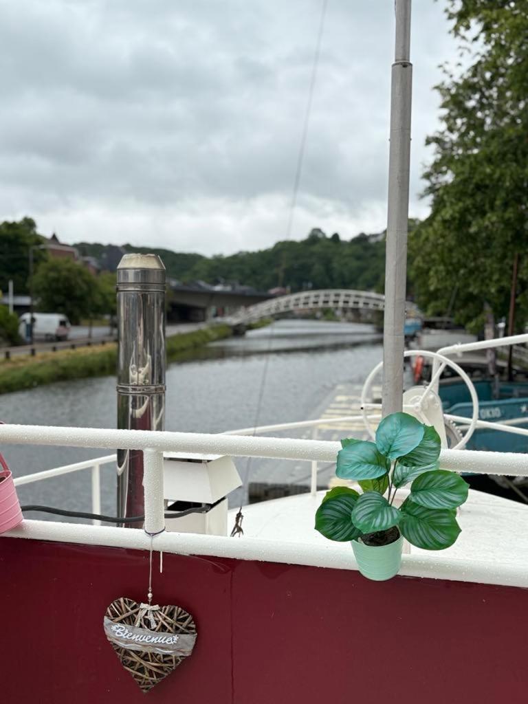 Gite Le Sambre Thuin Exterior foto